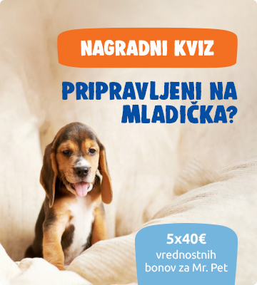 Pripravljeni na mladička?